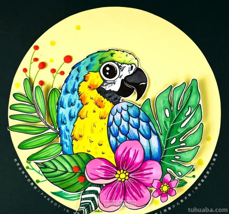 儿童画教程｜自然美学课程《五彩斑斓的鹦鹉》