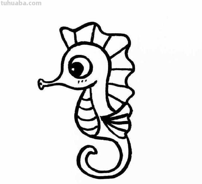 来一波萌萌的海洋生物简笔画吧，手绘手帐！