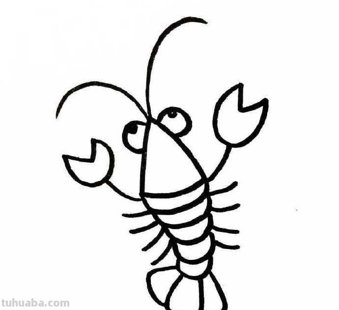 来一波萌萌的海洋生物简笔画吧，手绘手帐！