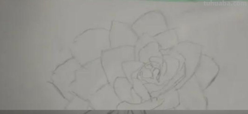 花朵怎么画 彩铅图片（花朵怎么画 彩铅图片大全）