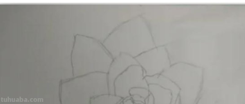 花朵怎么画 彩铅图片（花朵怎么画 彩铅图片大全）