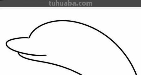 小海豚怎么画简笔画(小海豚怎么画简笔画教学) 小海豚怎么画简笔画(小海豚怎么画简笔画教学)