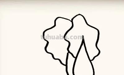 白菜怎么画简笔画图片(白菜怎么画简笔画图片大全) 白菜怎么画简笔画图片(白菜怎么画简笔画图片大全)