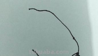 白菜怎么画简笔画图片(白菜怎么画简笔画图片大全) 白菜怎么画简笔画图片(白菜怎么画简笔画图片大全)