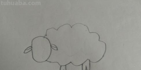 小羊怎么画简笔画图片(小羊怎么画简笔画图片大全大图) 小羊怎么画简笔画图片(小羊怎么画简笔画图片大全大图)