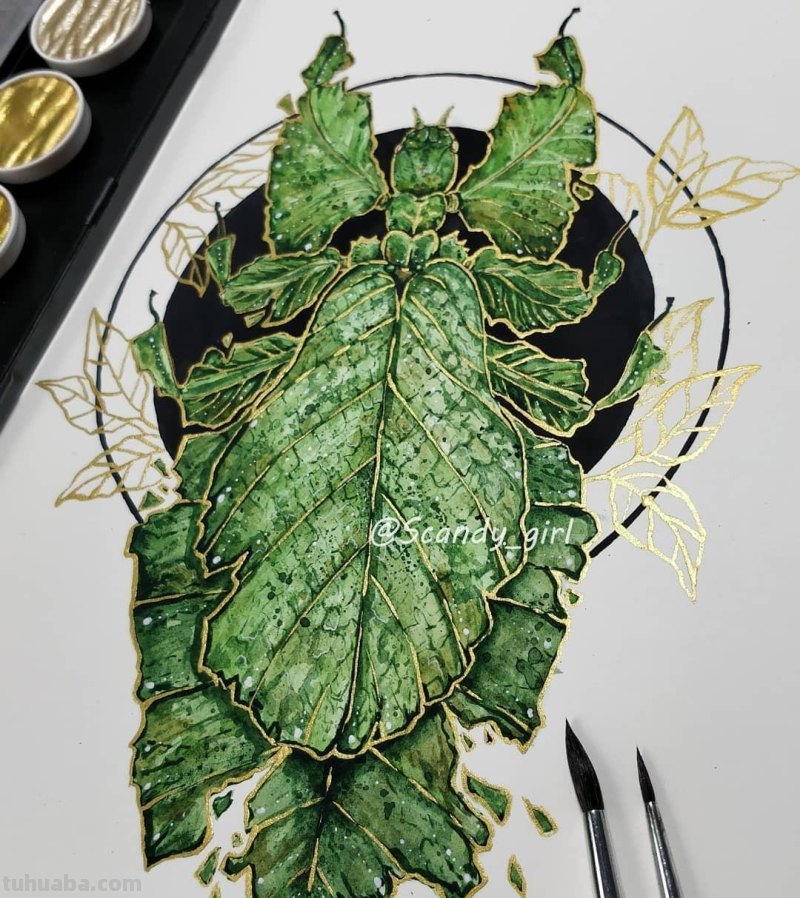 黑金色系动物水彩手绘插画，炫酷已不足形容，神秘又震撼