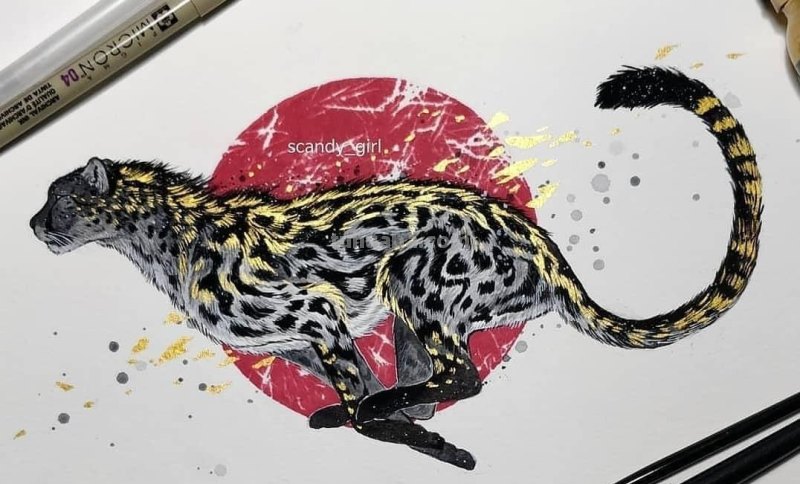 黑金色系动物水彩手绘插画，炫酷已不足形容，神秘又震撼