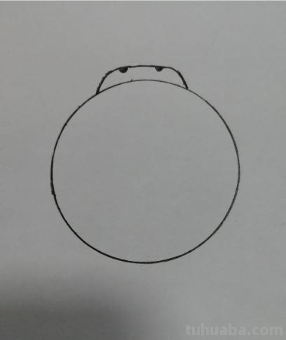 思维导图昆虫怎么画(思维导图昆虫怎么画简单) 思维导图昆虫怎么画(思维导图昆虫怎么画简单)