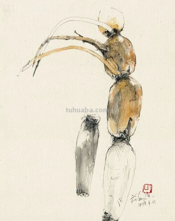 很有味道的速写作品