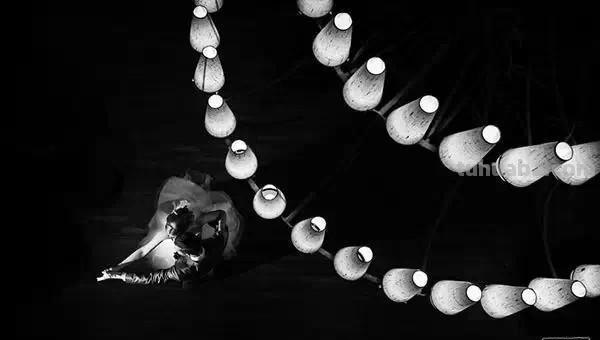 婚纱照你敢这样拍吗？30张国外获奖婚纱摄影作品欣赏