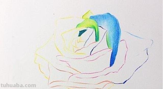 怎么用彩铅画玫瑰（怎么用彩铅画玫瑰花）