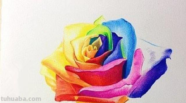 怎么用彩铅画玫瑰（怎么用彩铅画玫瑰花）