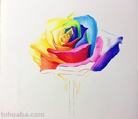 怎么用彩铅画玫瑰（怎么用彩铅画玫瑰花）