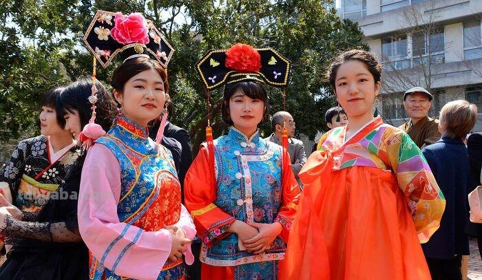 2022日本京都大学毕业典礼，上演cosplay，有人扮演中国宫女