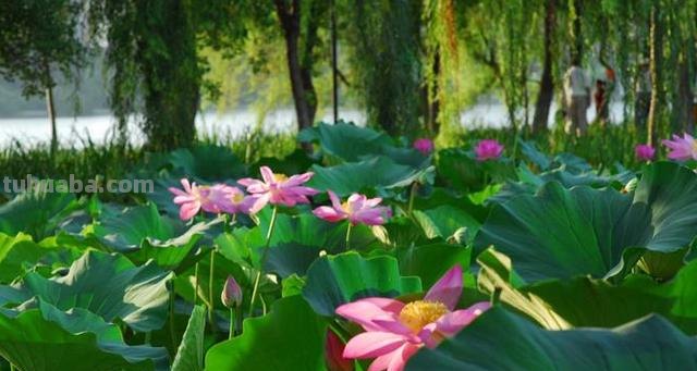 夏天热了怎么办简笔画（夏天热了怎么办主题画）
