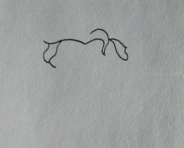 艾莎怎么画简笔画图片（艾莎怎么画简笔画图片大全）