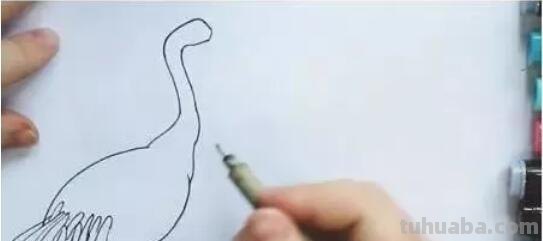 仙鹤怎么画 彩铅色（仙鹤怎么画 彩铅色的图片）