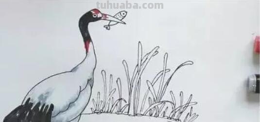 仙鹤怎么画 彩铅色（仙鹤怎么画 彩铅色的图片）