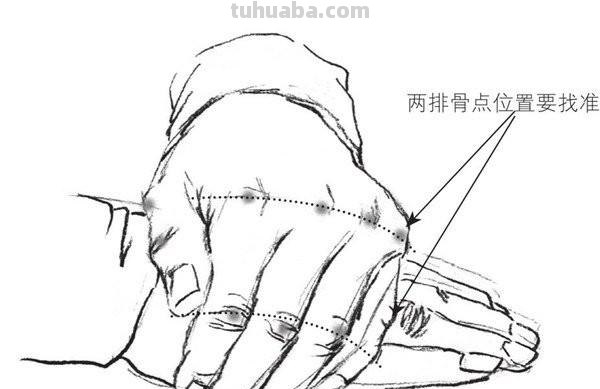速写部位手（速写手部画法）