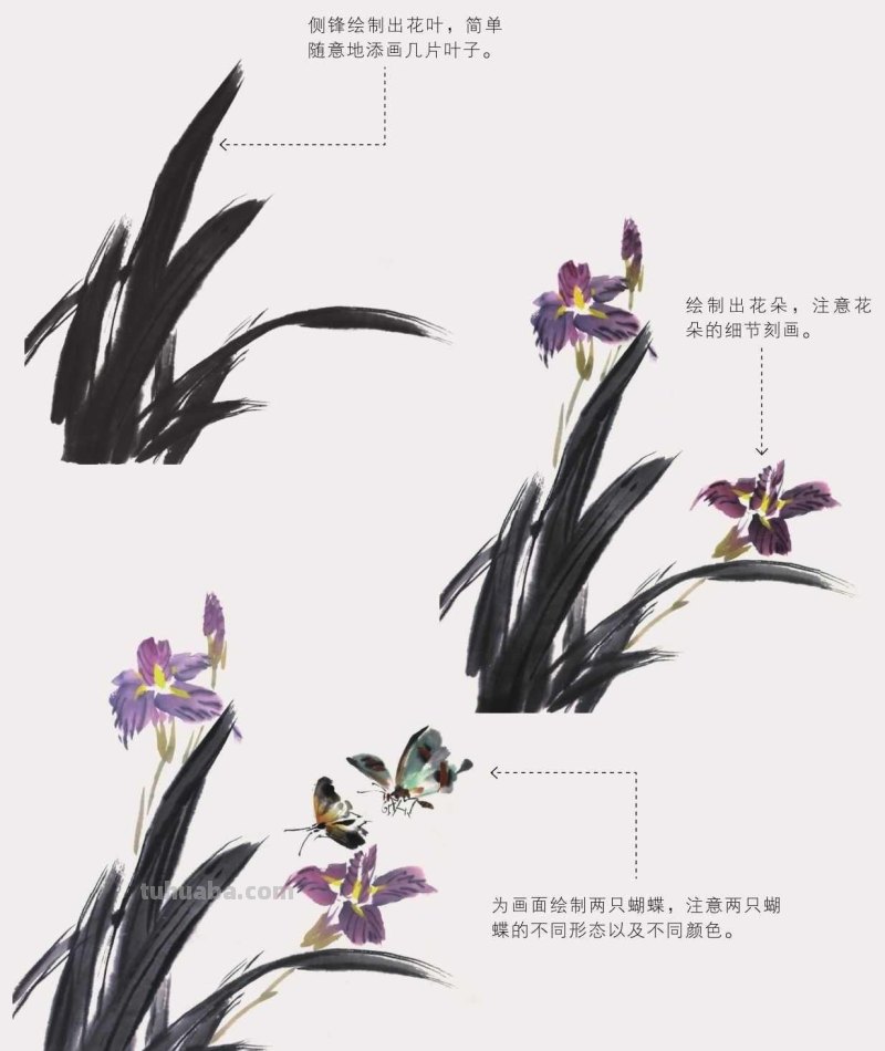 零基础国画教程:三种常见花虫画法详细步骤图解,简单易学的国画 零基础国画教程:三种常见花虫画法详细步骤图解,简单易学的国画