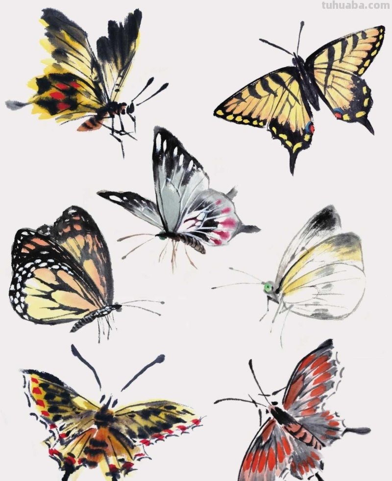 零基础国画教程:三种常见花虫画法详细步骤图解,简单易学的国画 零基础国画教程:三种常见花虫画法详细步骤图解,简单易学的国画