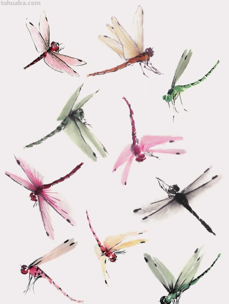 零基础国画教程:三种常见花虫画法详细步骤图解,简单易学的国画 零基础国画教程:三种常见花虫画法详细步骤图解,简单易学的国画