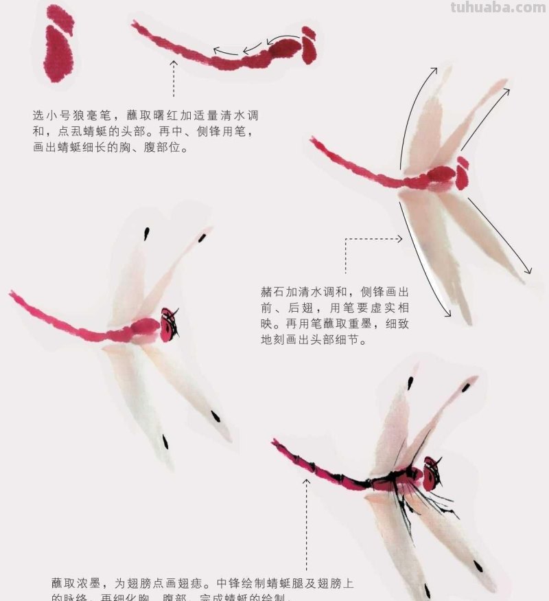 零基础国画教程:三种常见花虫画法详细步骤图解,简单易学的国画 零基础国画教程:三种常见花虫画法详细步骤图解,简单易学的国画