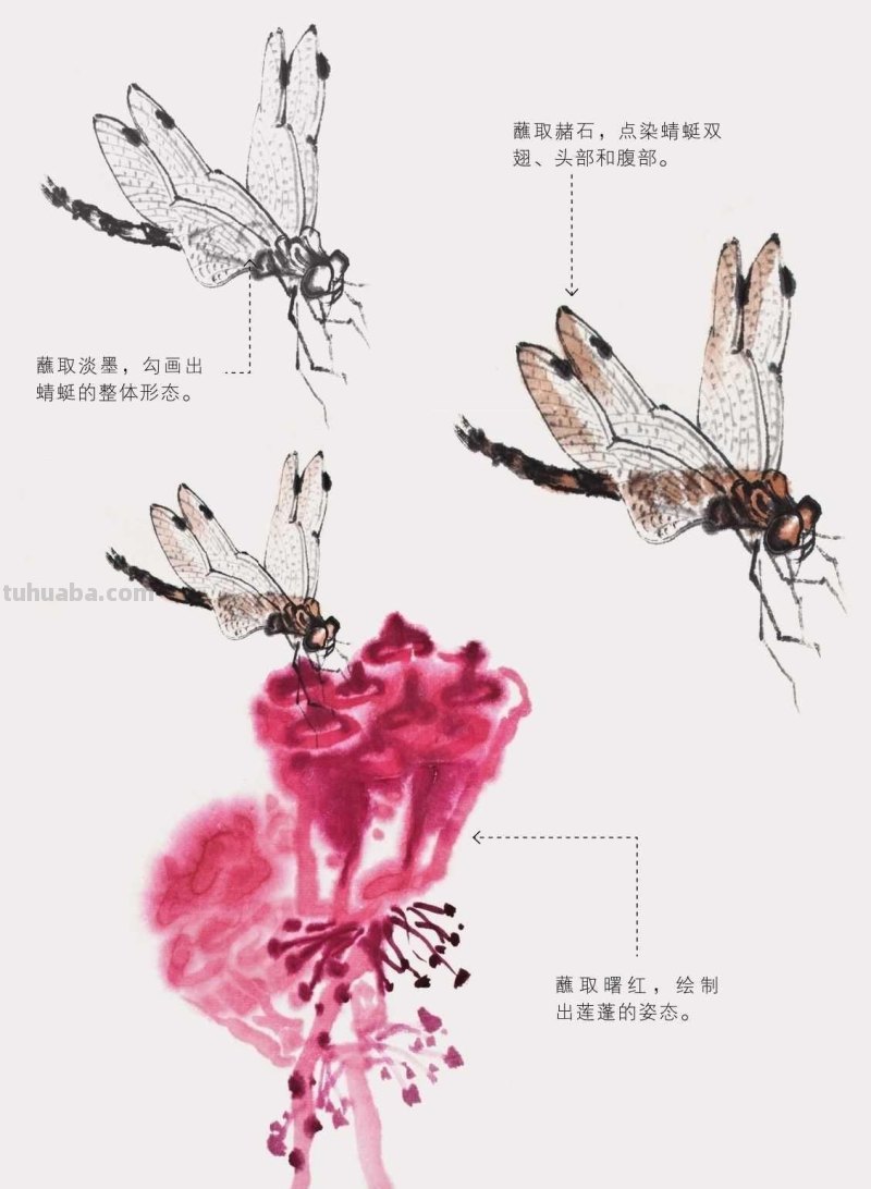 零基础国画教程:三种常见花虫画法详细步骤图解,简单易学的国画 零基础国画教程:三种常见花虫画法详细步骤图解,简单易学的国画