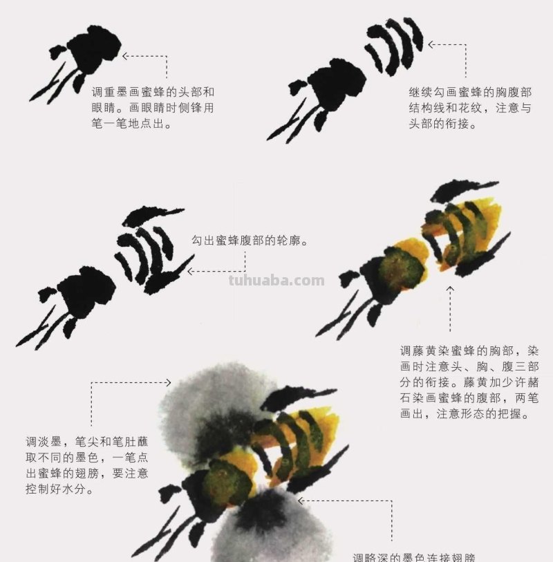 零基础国画教程:三种常见花虫画法详细步骤图解,简单易学的国画 零基础国画教程:三种常见花虫画法详细步骤图解,简单易学的国画