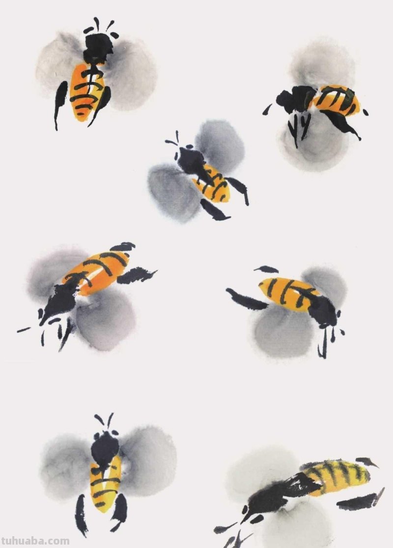 零基础国画教程:三种常见花虫画法详细步骤图解,简单易学的国画 零基础国画教程:三种常见花虫画法详细步骤图解,简单易学的国画