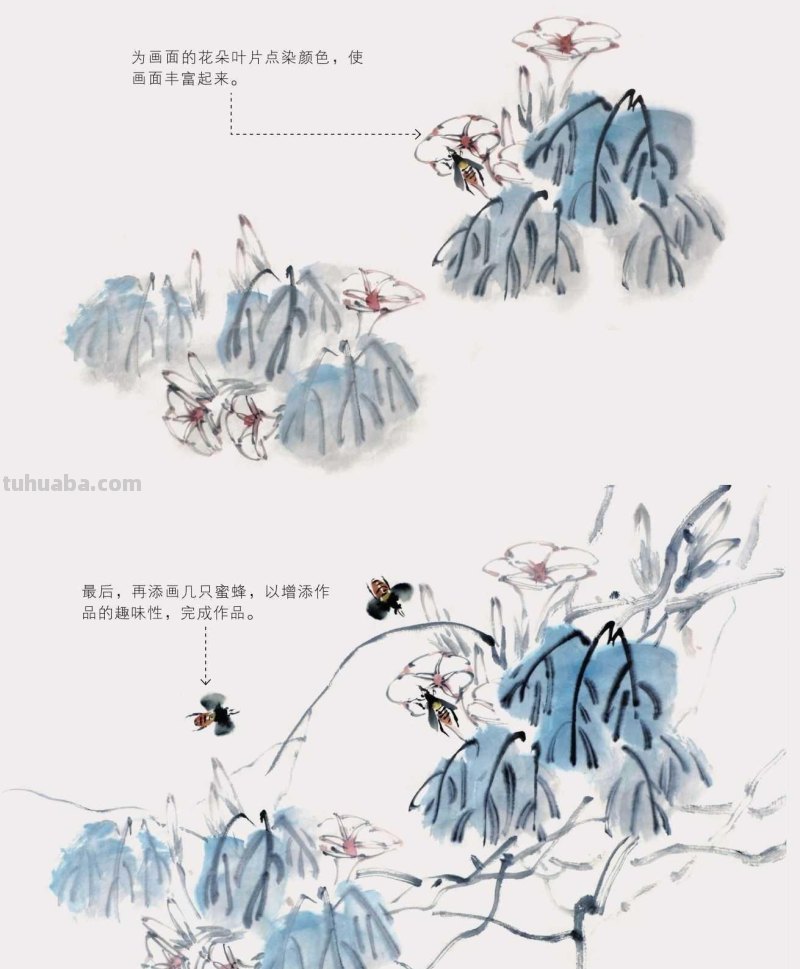 零基础国画教程:三种常见花虫画法详细步骤图解,简单易学的国画 零基础国画教程:三种常见花虫画法详细步骤图解,简单易学的国画