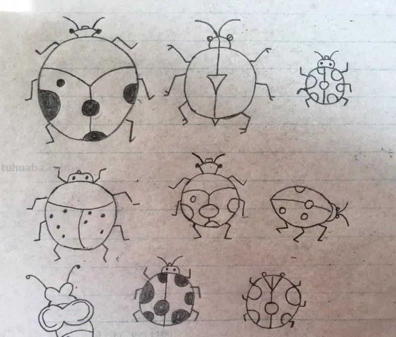 昆虫类简笔画 昆虫类简笔画
