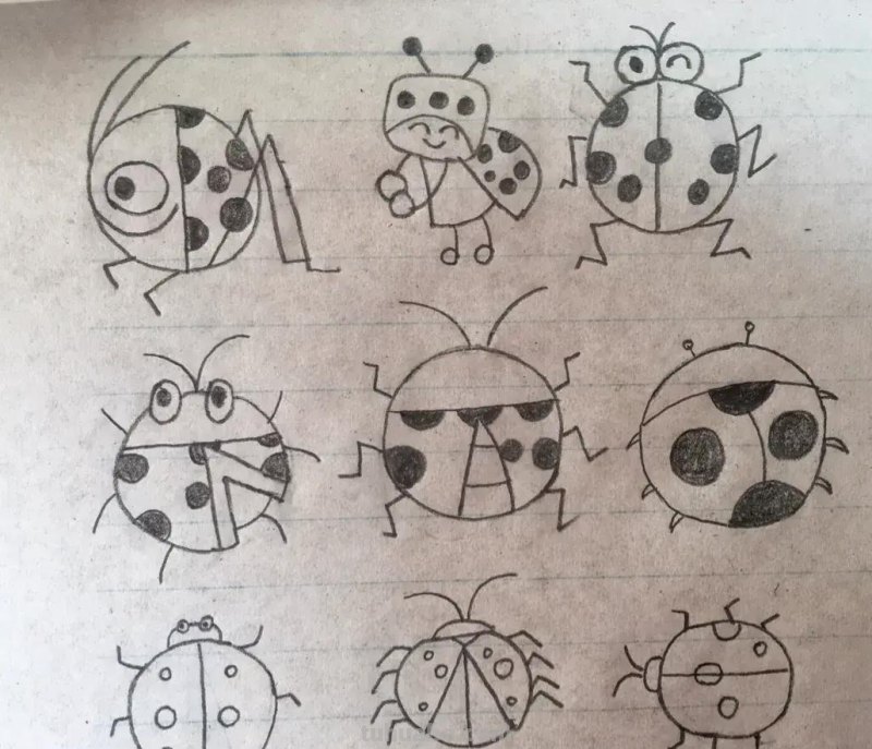 昆虫类简笔画 昆虫类简笔画