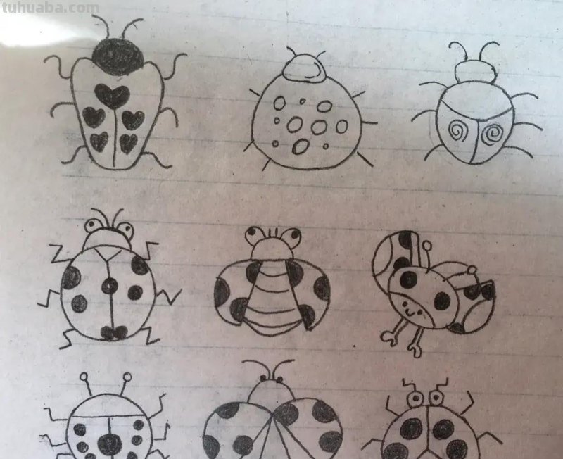 昆虫类简笔画 昆虫类简笔画