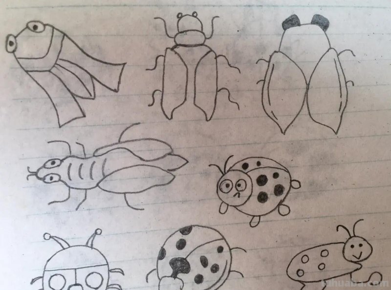 昆虫类简笔画 昆虫类简笔画