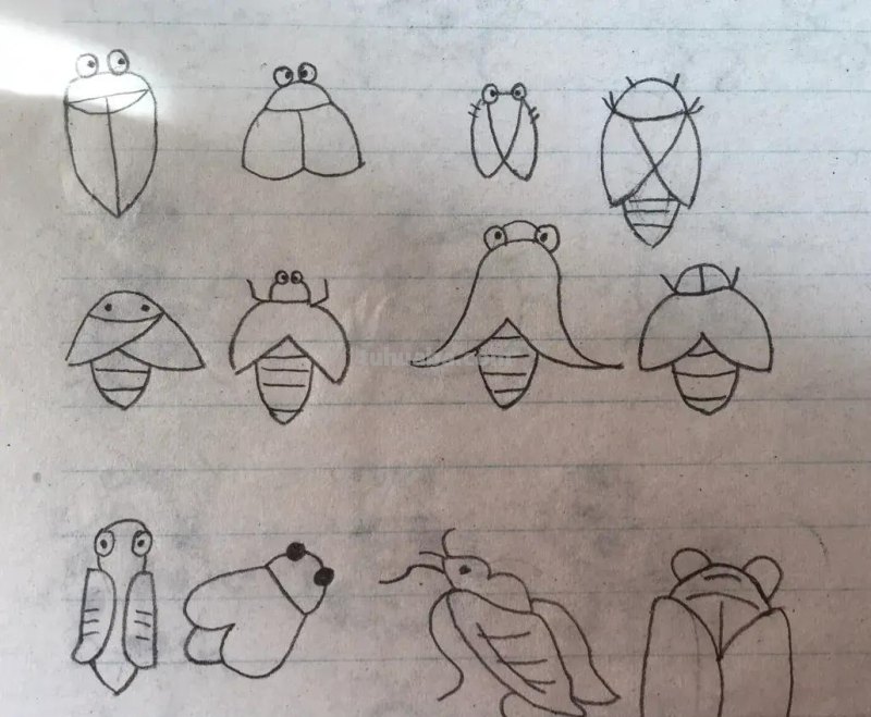 昆虫类简笔画 昆虫类简笔画