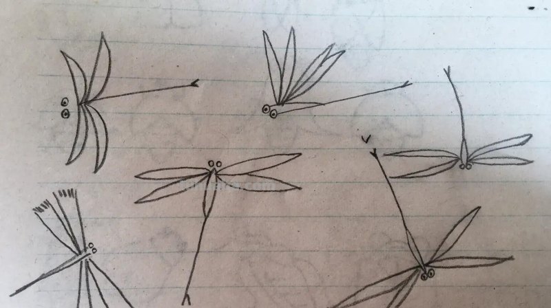 昆虫类简笔画 昆虫类简笔画