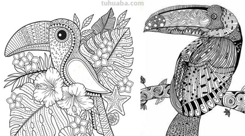 创意儿童画教程｜用线描的方式画小朋友们最喜欢的大嘴鸟