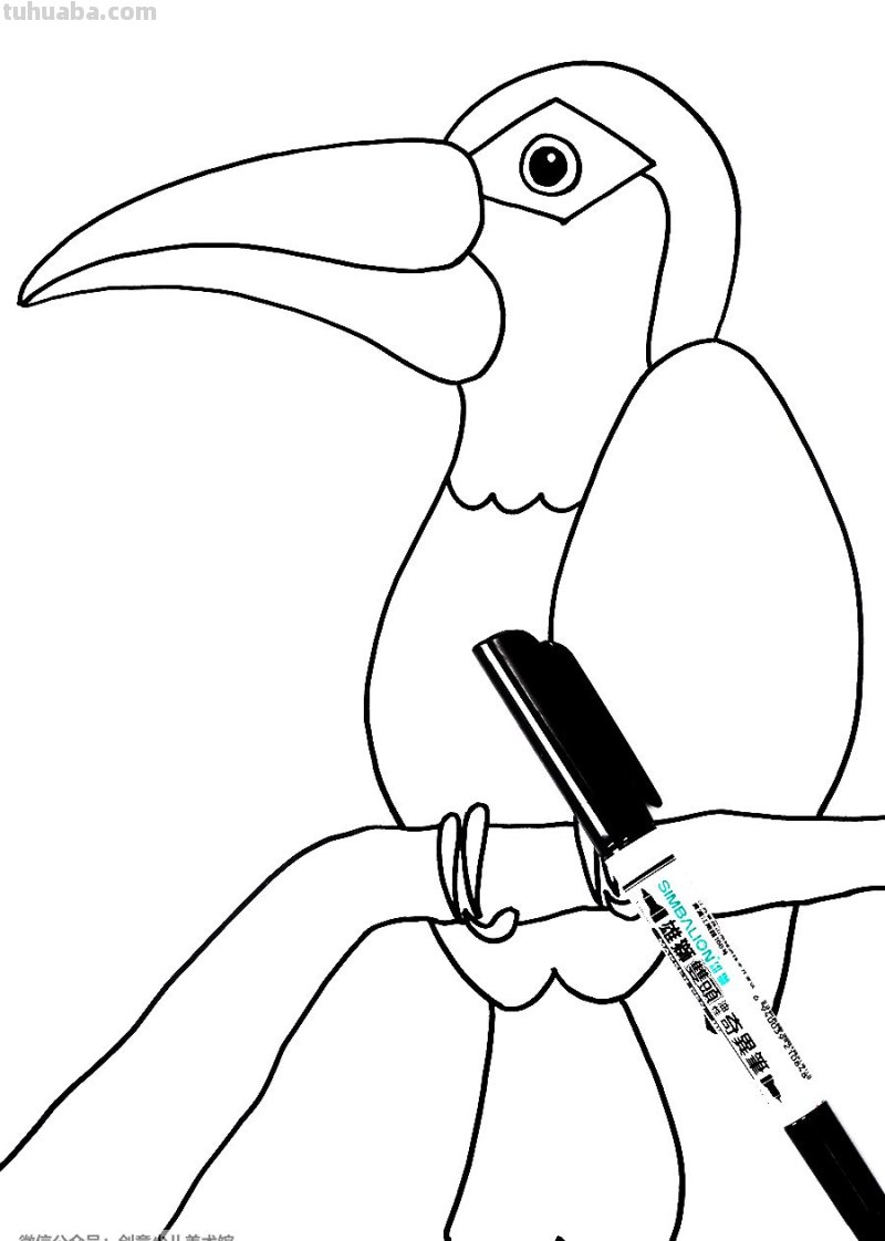 创意儿童画教程｜用线描的方式画小朋友们最喜欢的大嘴鸟