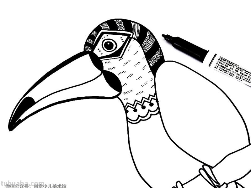 创意儿童画教程｜用线描的方式画小朋友们最喜欢的大嘴鸟