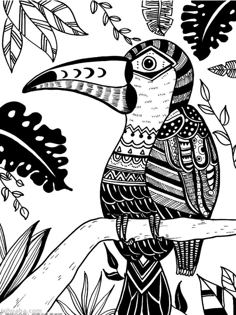 创意儿童画教程｜用线描的方式画小朋友们最喜欢的大嘴鸟