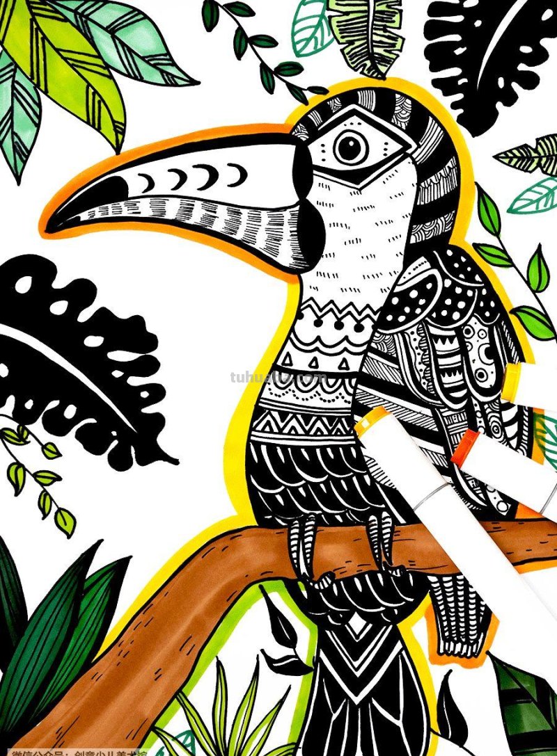 创意儿童画教程｜用线描的方式画小朋友们最喜欢的大嘴鸟