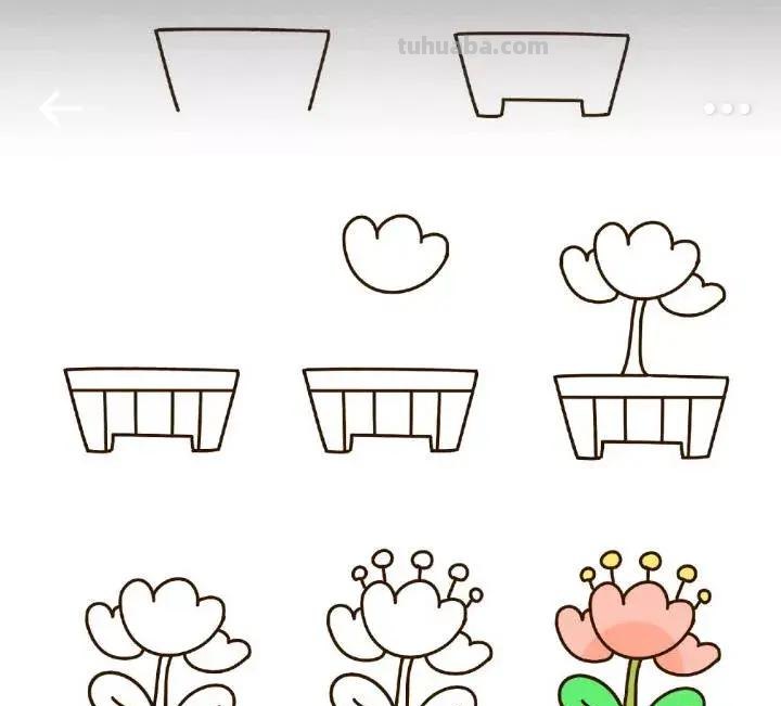 9种小植物简笔画教程，步骤很详细，非常适合零基础临摹学习！