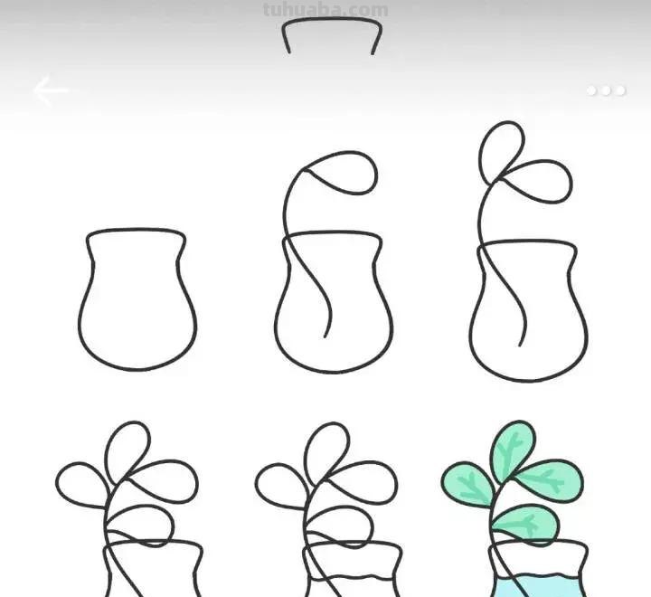 9种小植物简笔画教程，步骤很详细，非常适合零基础临摹学习！