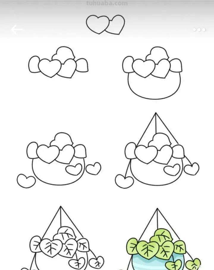 9种小植物简笔画教程，步骤很详细，非常适合零基础临摹学习！
