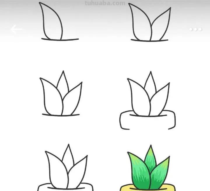 9种小植物简笔画教程，步骤很详细，非常适合零基础临摹学习！