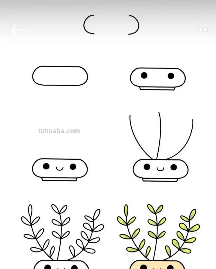 9种小植物简笔画教程，步骤很详细，非常适合零基础临摹学习！