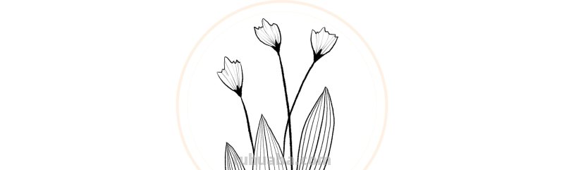 入门必备的简笔画植物，零基础也可以画的很好看