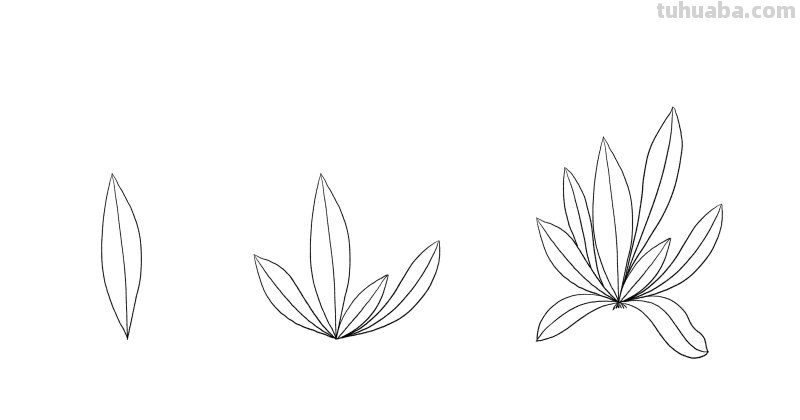 入门必备的简笔画植物，零基础也可以画的很好看
