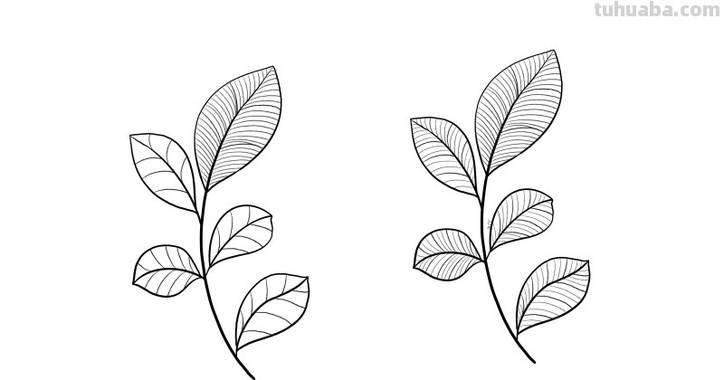 入门必备的简笔画植物，零基础也可以画的很好看